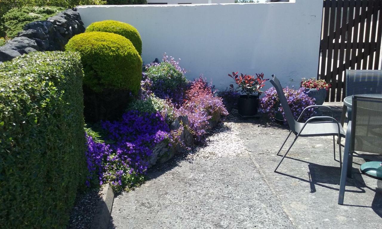 Gentian Villa B&B Ballyvaughan Exterior photo